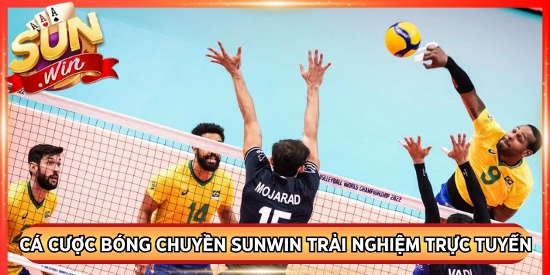 Cá Cược Bóng Chuyền Sunwin Trải Nghiệm Thể Thao Trực Tuyến