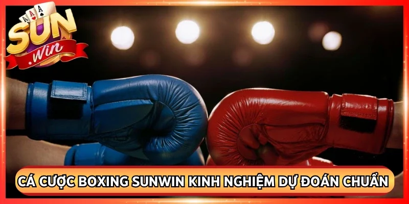 Cá Cược Boxing Sunwin – Kinh Nghiệm Dự Đoán Chuẩn Xác