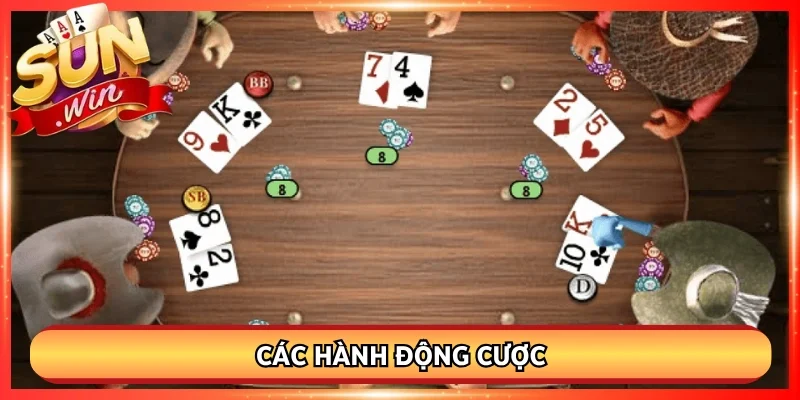 Các hành động cược