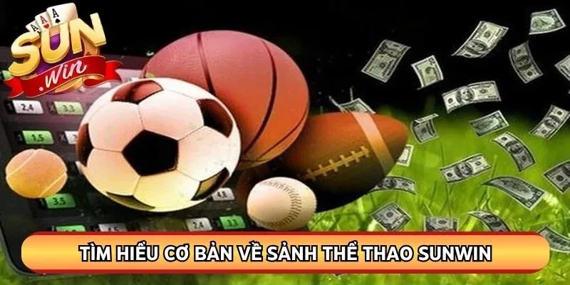 Tìm hiểu cơ bản về sảnh thể thao Sunwin trong năm 2026